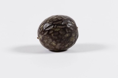 Frutto della Passione